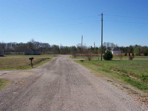 393 Chris Ln, Ramer, TN 38367 photo 4