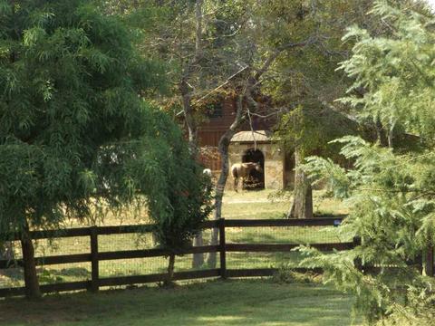 850 Schaeffer Loop, Eads, TN 38028 photo 7