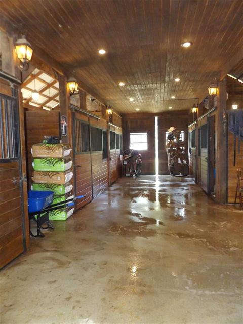 850 Schaeffer Loop, Eads, TN 38028 photo 24