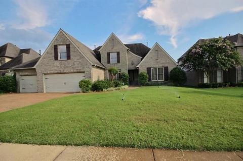 10477 Fireweek Ln, Collierville, TN 38017 photo 1