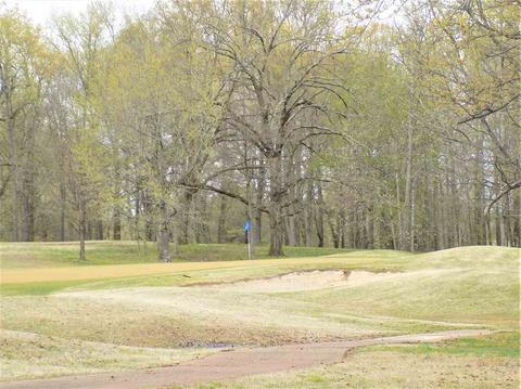 6162 Daybreak Dr, Bartlett, TN 38135 photo 6