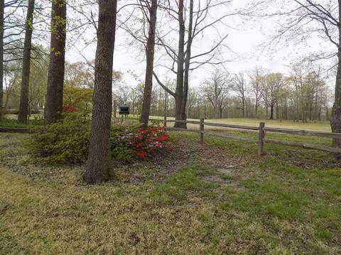 6162 Daybreak Dr, Bartlett, TN 38135 photo 5
