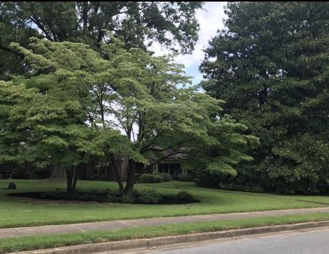 4792 Cole Rd, Memphis, TN 38117 photo 1