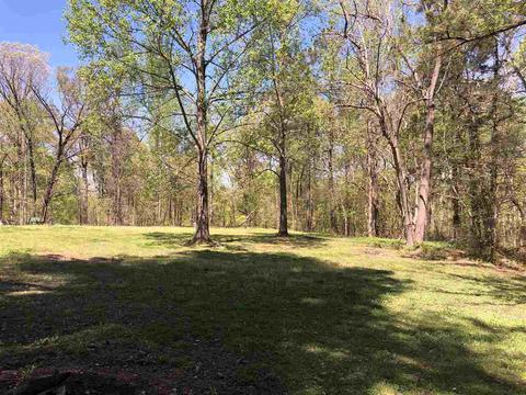 656 Bluff Rd, Drummonds, TN 38023 photo 2