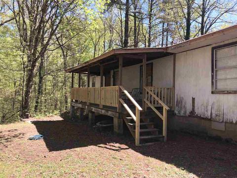 656 Bluff Rd, Drummonds, TN 38023 photo 10