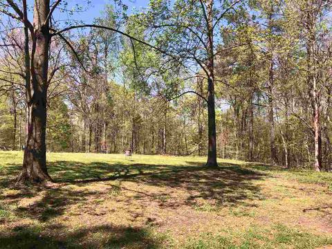 656 Bluff Rd, Drummonds, TN 38023 photo 3