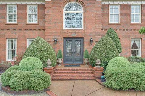 1234 Pinpointe Dr, Collierville, TN 38017 photo 3