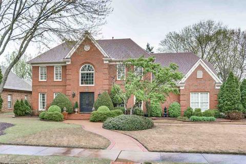1234 Pinpointe Dr, Collierville, TN 38017 photo 2