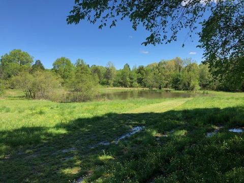 331 Dillon Rd, Michie, TN 38357 photo 5