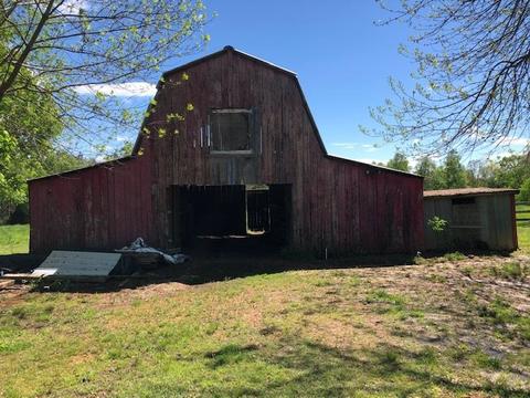 331 Dillon Rd, Michie, TN 38357 photo 7
