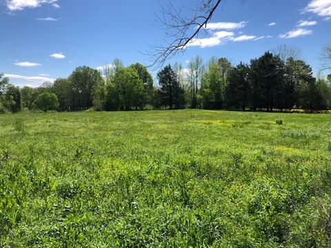 331 Dillon Rd, Michie, TN 38357 photo 8