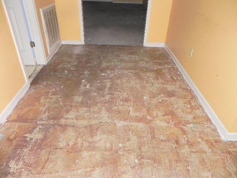 149 Turner Rd, Covington, TN 38019 photo 6