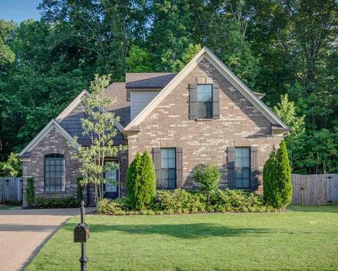 8217 Bartlett Gap Dr, Bartlett, TN 38133 photo 1