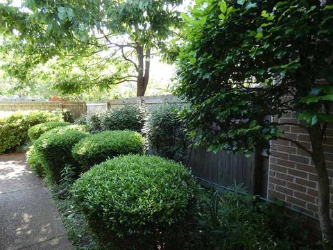 1741 Constable Ct, Collierville, TN 38017 photo 14