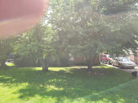 4357 Cloudburst Cv, Memphis, TN 38141 photo 1
