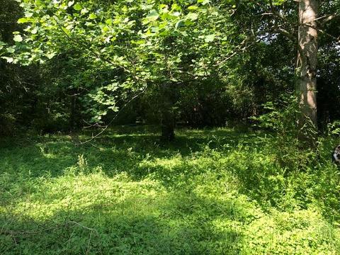 195 Easley Loop, Savannah, TN 38372 photo 15