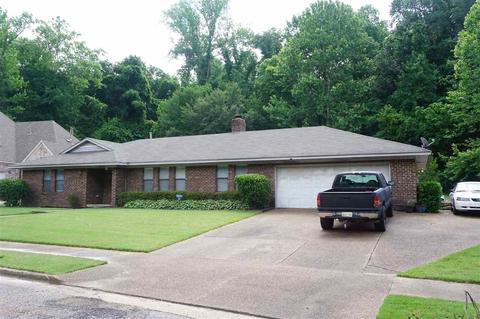 3080 Beechrun Dr, Memphis, TN 38128 photo 2