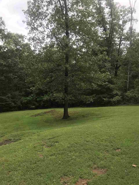 2400 Bobbitt Rd, Williston, TN 38076 photo 9
