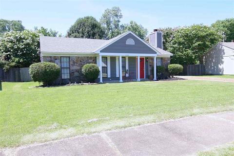7296 Countryside Rd, Memphis, TN 38133 photo 4