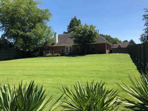 1502 Wolf Ridge Dr, Collierville, TN 38017 photo 2