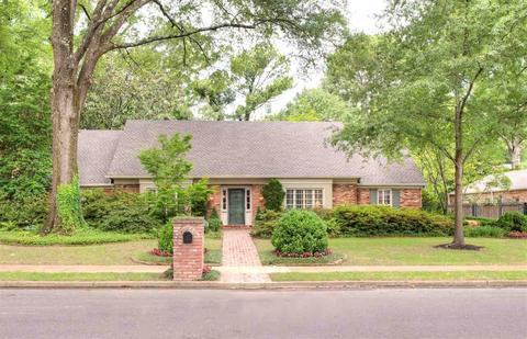 769 Reddoch St, Memphis, TN 38120 photo 1