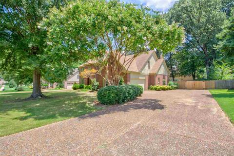 698 Evans View Ln, Collierville, TN 38017 photo 24