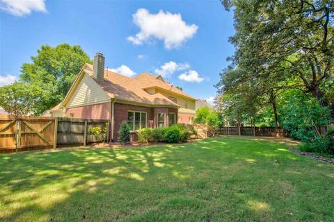 698 Evans View Ln, Collierville, TN 38017 photo 22