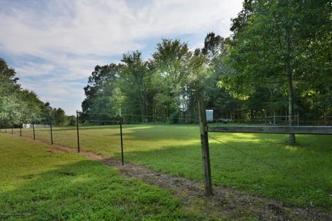 10353 Honey Ridge Dr, Hernando, MS 38632 photo 3