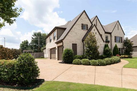 601 Catamount St, Collierville, TN 38017 photo 2