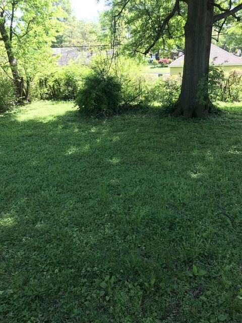 2166 Pendleton St, Memphis, TN 38114 photo 3