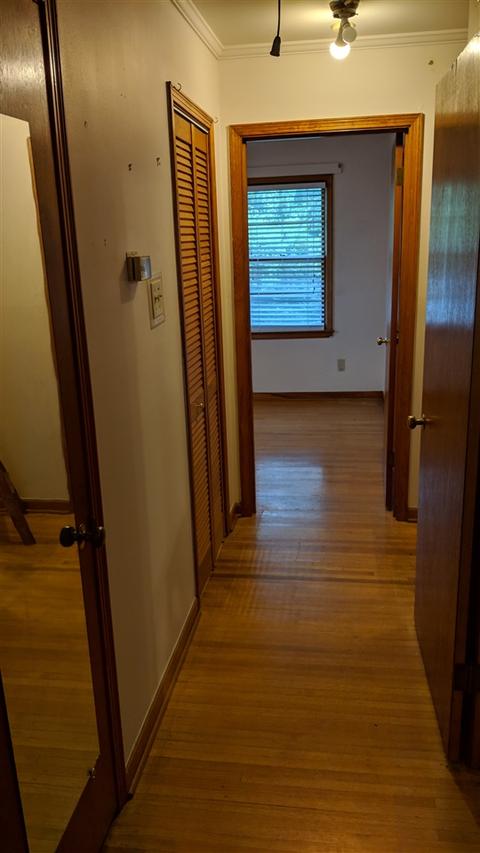 4567 Given Ave, Memphis, TN 38122 photo 11
