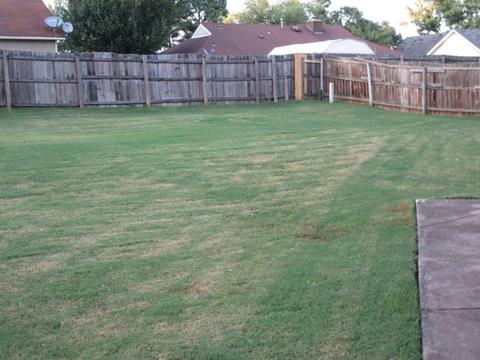 3449 Peyton Randolph Cv, Bartlett, TN 38134 photo 11