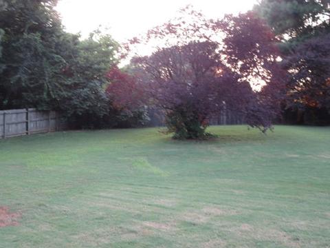 3449 Peyton Randolph Cv, Bartlett, TN 38134 photo 12