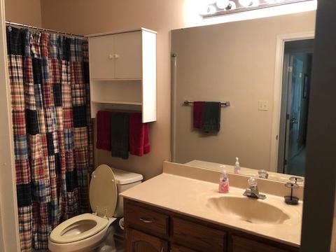 869 Grapevine Dr, Collierville, TN 38017 photo 15