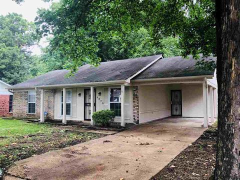 3870 Apricot Cv, Memphis, TN 38115 photo 1