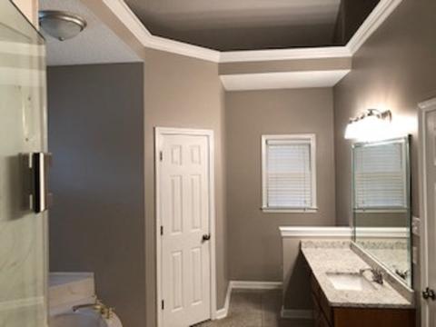 1244 Pinpointe Dr, Collierville, TN 38017 photo 23
