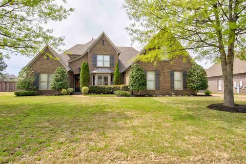 1759 Stillwind Ln, Collierville, TN 38017 photo 2