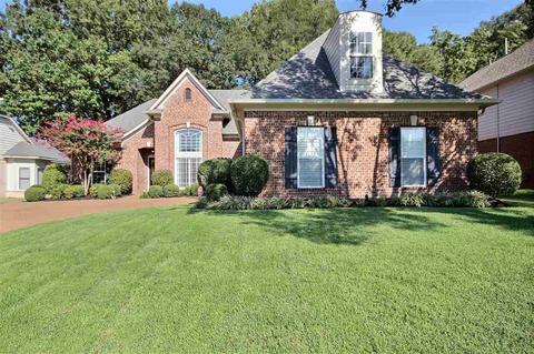 1440 River Pine Dr, Collierville, TN 38017 photo 1