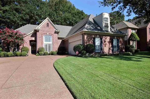 1440 River Pine Dr, Collierville, TN 38017 photo 20