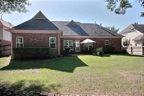 1440 River Pine Dr, Collierville, TN 38017 photo 19