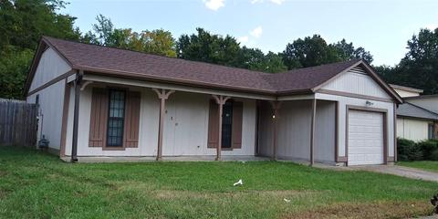 3850 Cedar Path Dr, Memphis, TN 38115 photo 1