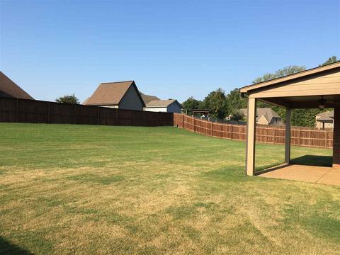 6111 Piney Bluff Dr, Bartlett, TN 38135 photo 24
