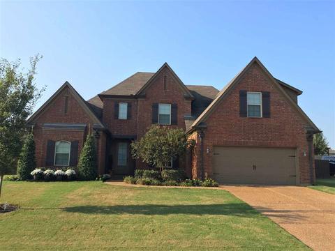 6111 Piney Bluff Dr, Bartlett, TN 38135 photo 1