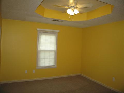 1330 Simmons Rd, Drummonds, TN 38023 photo 5