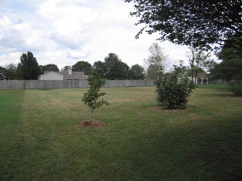 1330 Simmons Rd, Drummonds, TN 38023 photo 8