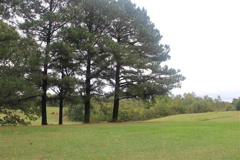 2726 Quito Drummonds Rd, Drummonds, TN 38023 photo 2