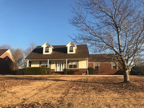 456 Rolling Meadow Dr, Drummonds, TN 38023 photo 4