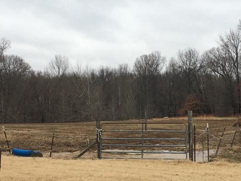 2116 Bringle Rd, Covington, TN 38019 photo 3