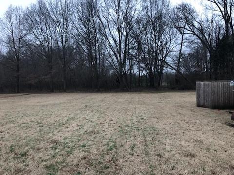 5705 Mt Carmel Rd, Covington, TN 38019 photo 8