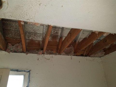 3049 Given Ave, Memphis, TN 38112 photo 4